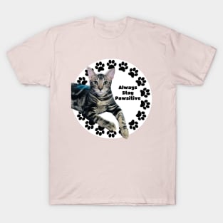 Always Stay Positive Grey Cat T-Shirt